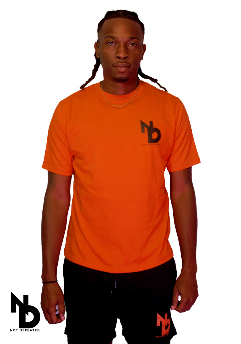 Orange ND T- Shirt & Short set